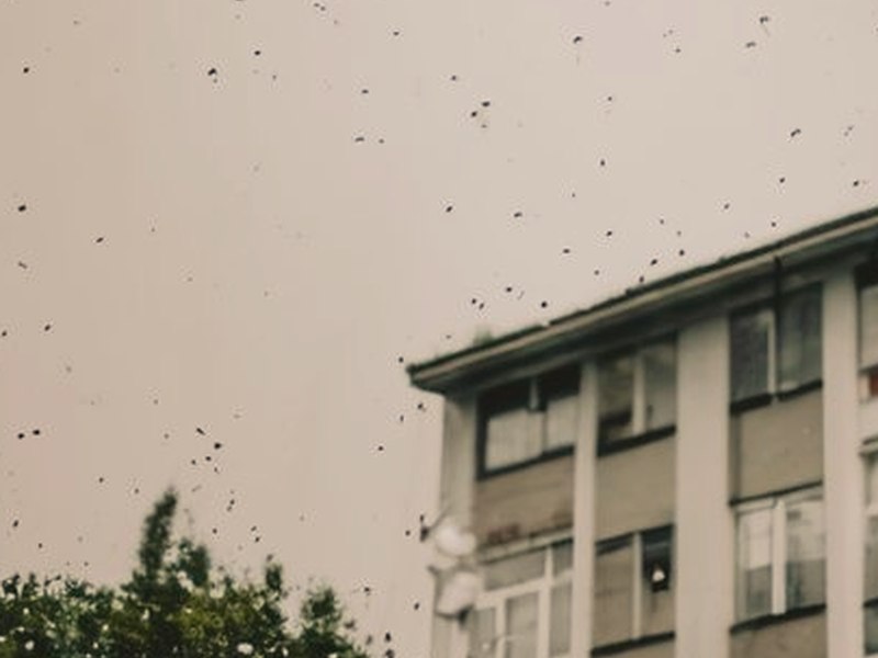 阿修羅